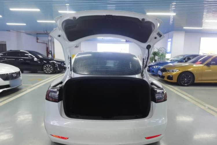 Tesla Model 3 2020 car image #19