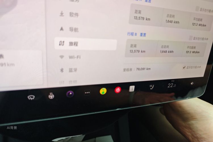 Tesla Model 3 2022 car image #14