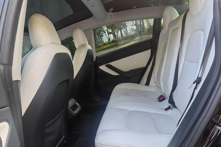Tesla Model 3 2020 #12 Tesla Model 3 2020 صورة سيارة #12