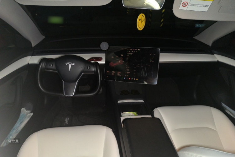 Tesla Model 3 2021 car image #11