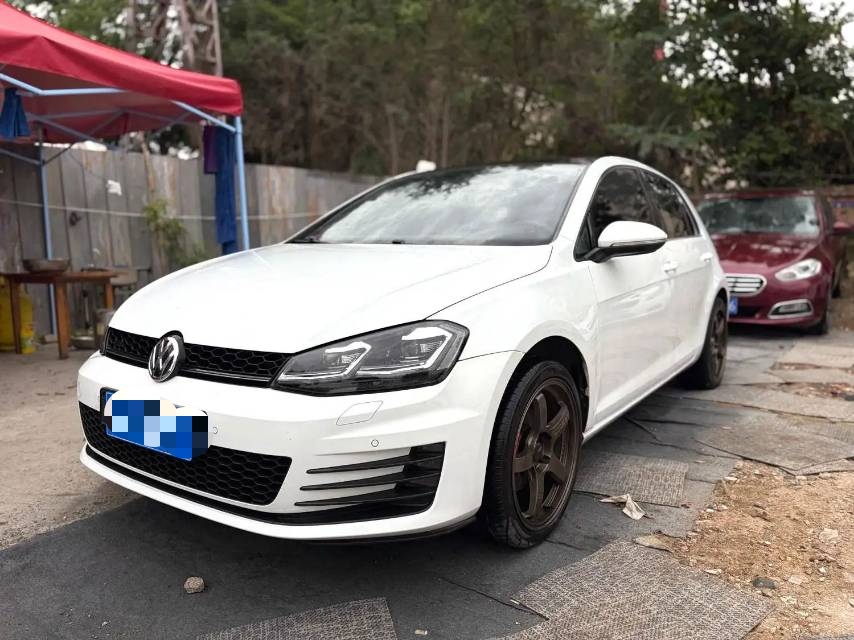 Volkswagen Golf 2014 immagine di auto #2
