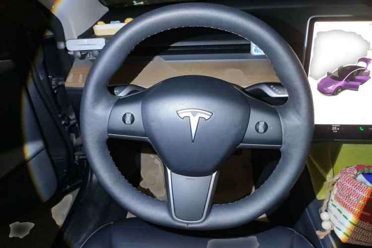 Tesla Model 3 2021 #11 Tesla Model 3 2021 car image #11