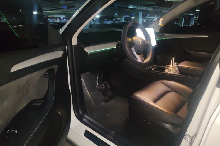 Tesla Model Y 2024 car image #18
