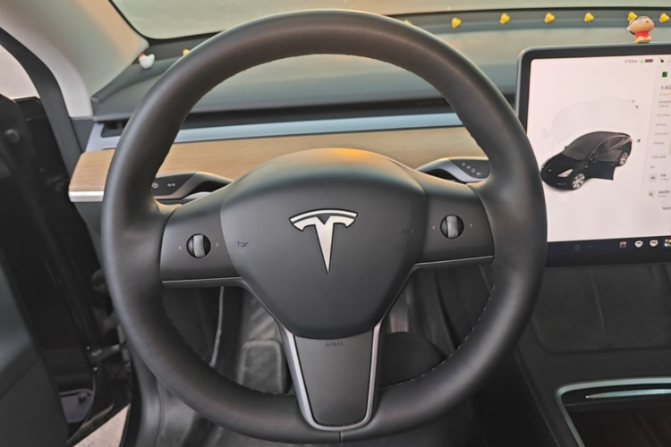 Tesla Model Y 2021 #11 Tesla Model Y 2021 immagine di auto #11