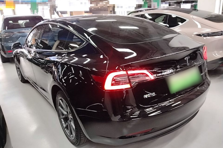 Tesla Model 3 2021 #5 Tesla Model 3 2021 car image #5