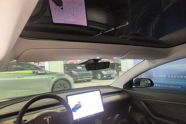 Tesla Model 3 2020 immagine di auto #18