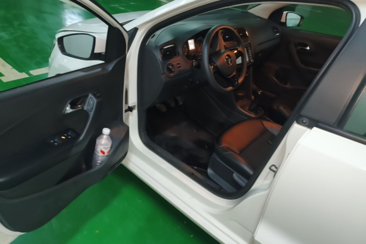Volkswagen Polo 2015 car image #16