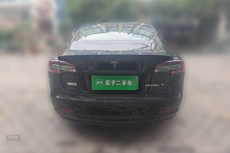Tesla Model 3 2020 car image #6