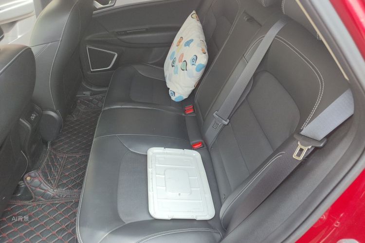 GEELY Emgrand GS 2020 car image #19
