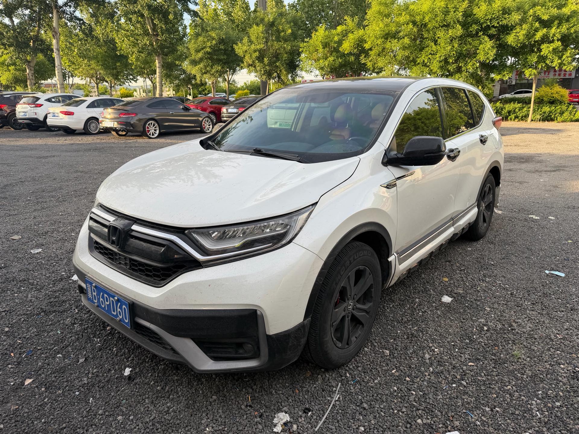 Honda CR-V 2022 Honda CR-V 2022 car image