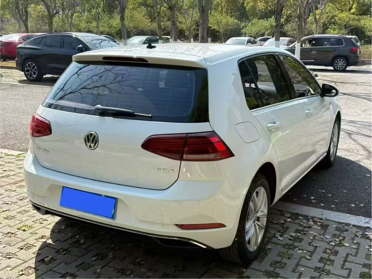 Volkswagen Golf 2019 #7 Volkswagen Golf 2019 car image #7