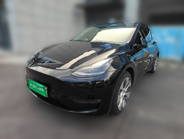 Tesla Model Y 2021 Tesla Model Y 2021 car image