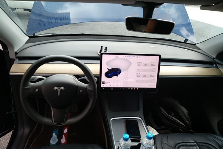 Tesla Model Y 2021 car image #10