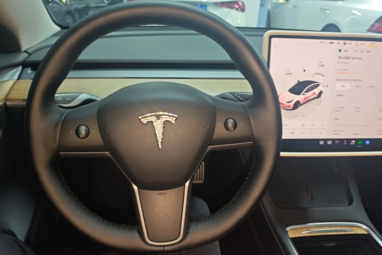 Tesla Model 3 2022 #11 Tesla Model 3 2022 car image #11