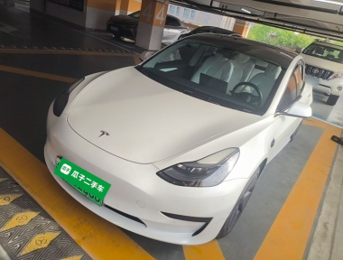 Tesla Model 3 2021 car image 