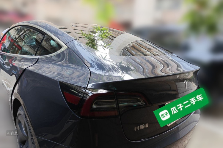 Tesla Model 3 2020 car image #5