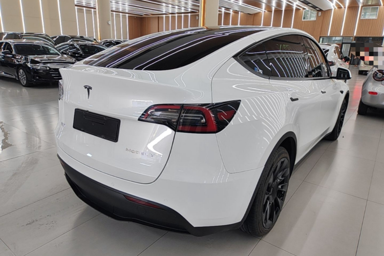Tesla Model Y 2021 #5 Tesla Model Y 2021 car image #5