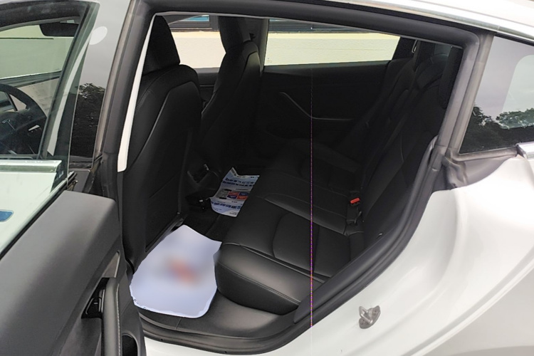 Tesla Model 3 2020 #13 Tesla Model 3 2020 car image #13