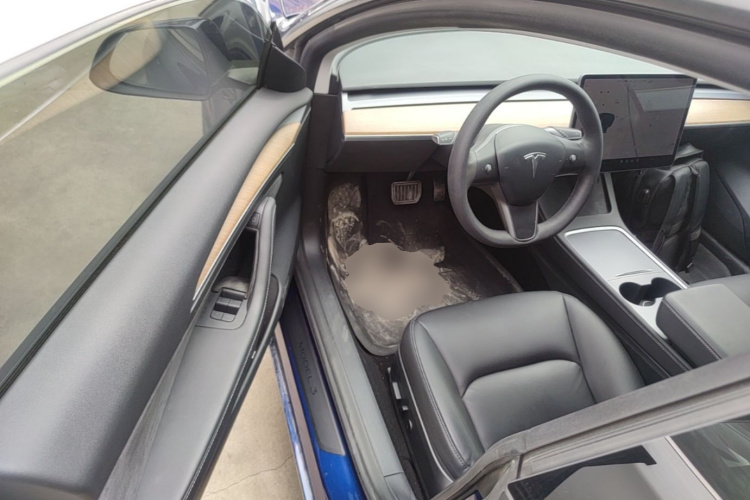 Tesla Model 3 2021 #16 Tesla Model 3 2021 car image #16