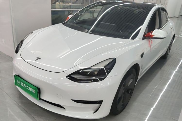 Tesla Model 3 2021 immagine di auto #2