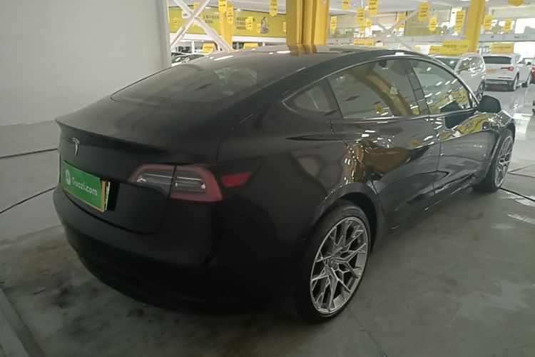 Tesla Model 3 2021 #5 Tesla Model 3 2021 car image #5