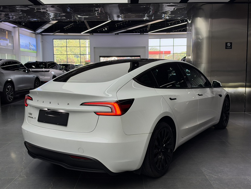 Tesla Model 3 2024 immagine di auto #6