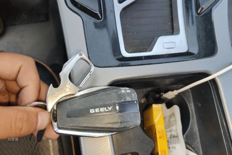 GEELY Emgrand GL 2021 car image #10