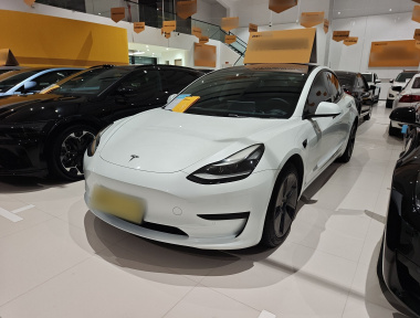 Tesla Model 3 2021 immagine di auto 