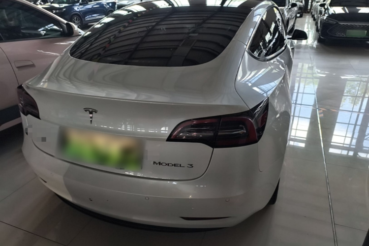Tesla Model 3 2021 #7 Tesla Model 3 2021 car image #7