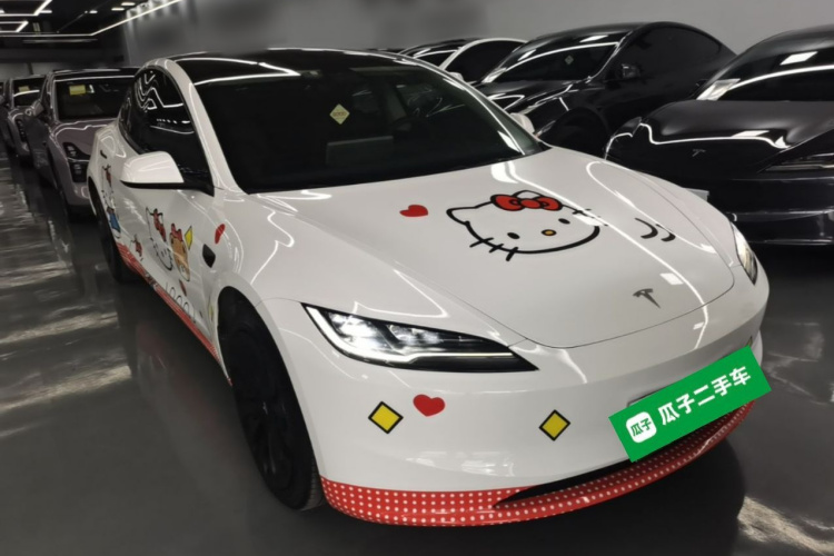 Tesla Model 3 2024 car image #6