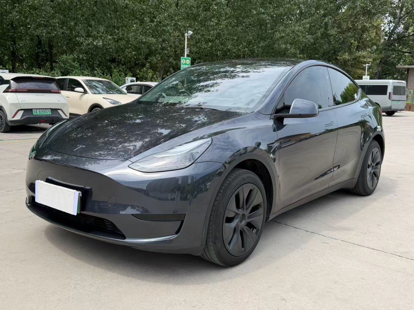Tesla Model Y 2024 Tesla Model Y 2024 car image