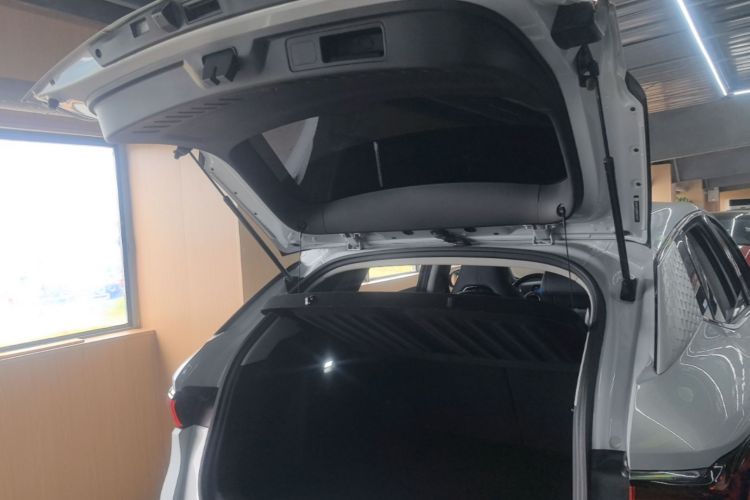 BYD Yuan Plus 2022 car image #19