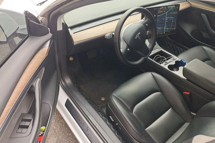 Tesla Model 3 2021 car image #16