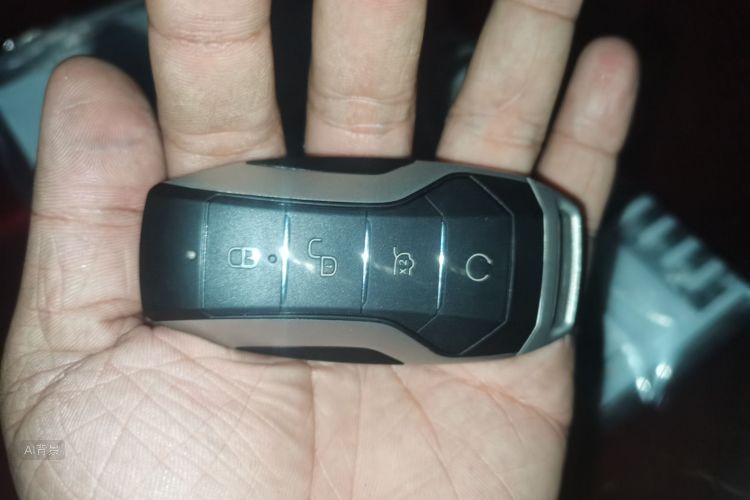 BYD Han 2020 car image #10