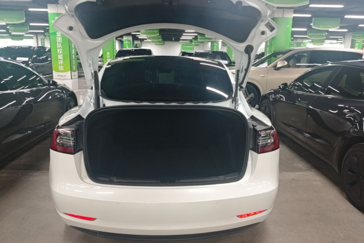 Tesla Model 3 2021 #19 Tesla Model 3 2021 car image #19