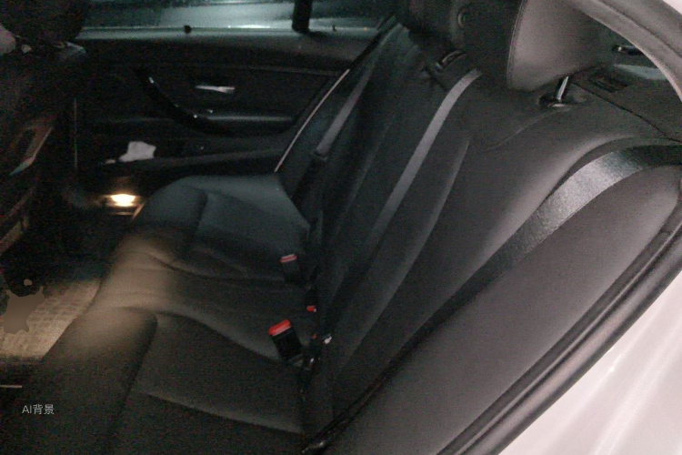 BMW 3 Series 2017 car image #19