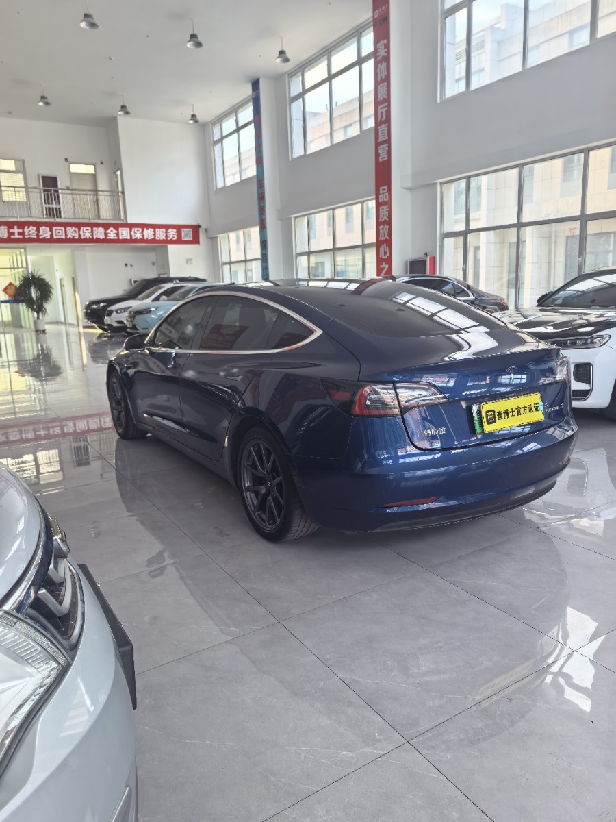 Tesla Model 3 2020 car image #9
