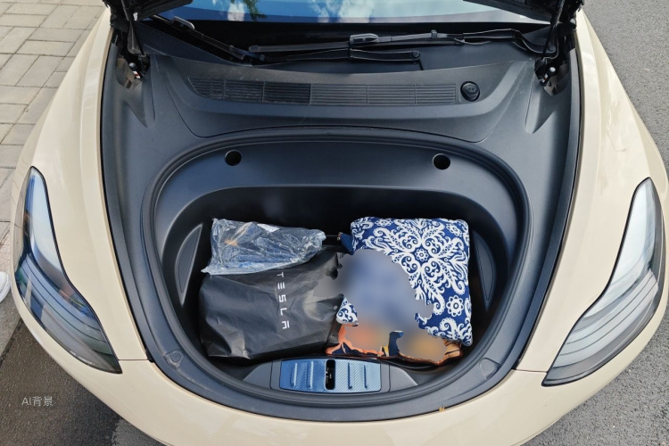 Tesla Model 3 2022 car image #22