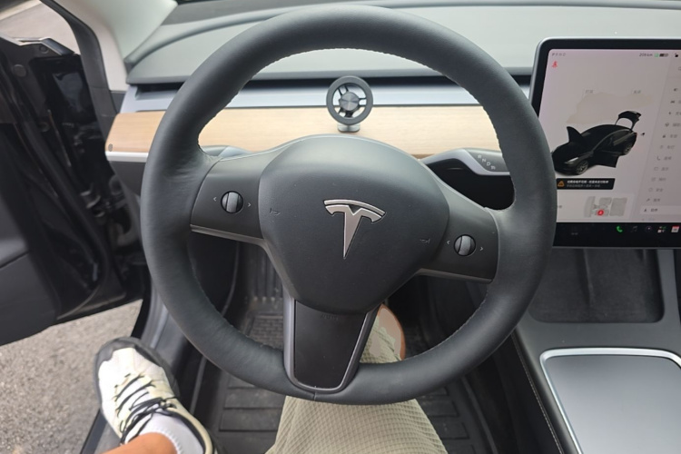Tesla Model 3 2021 #11 Tesla Model 3 2021 car image #11