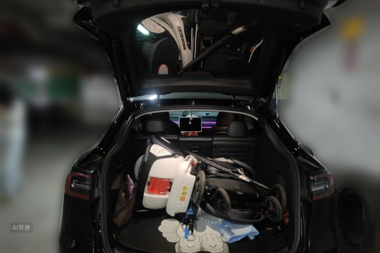 Tesla Model Y 2021 car image #21