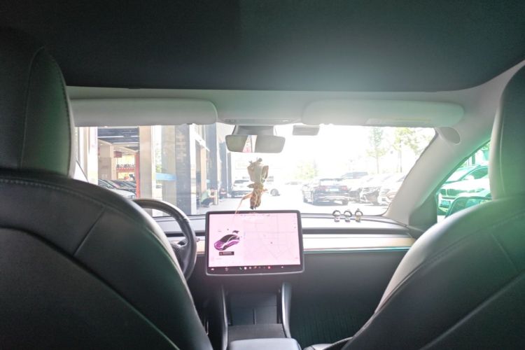Tesla Model 3 2020 car image #18
