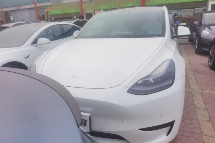 Tesla Model Y 2023 #3 Tesla Model Y 2023 immagine di auto #3