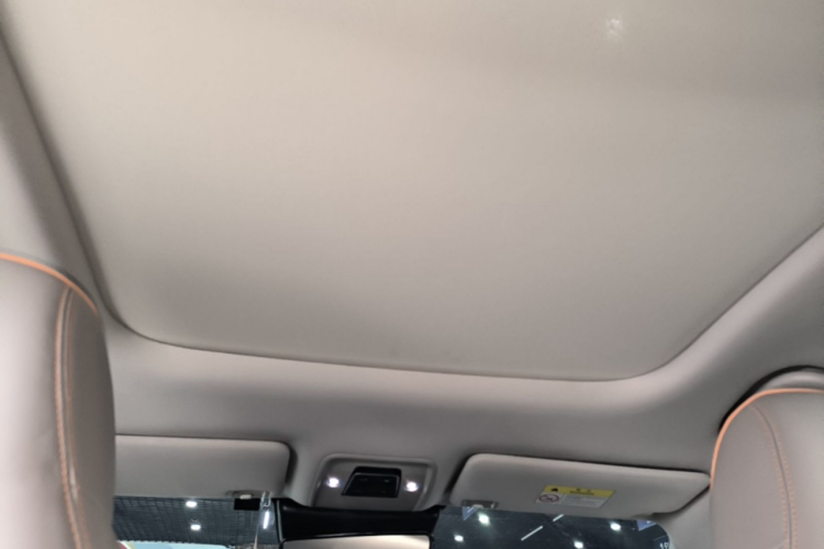BYD Yuan Plus 2024 car image #20