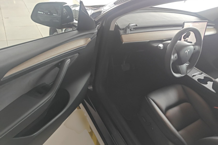 Tesla Model Y 2021 car image #16