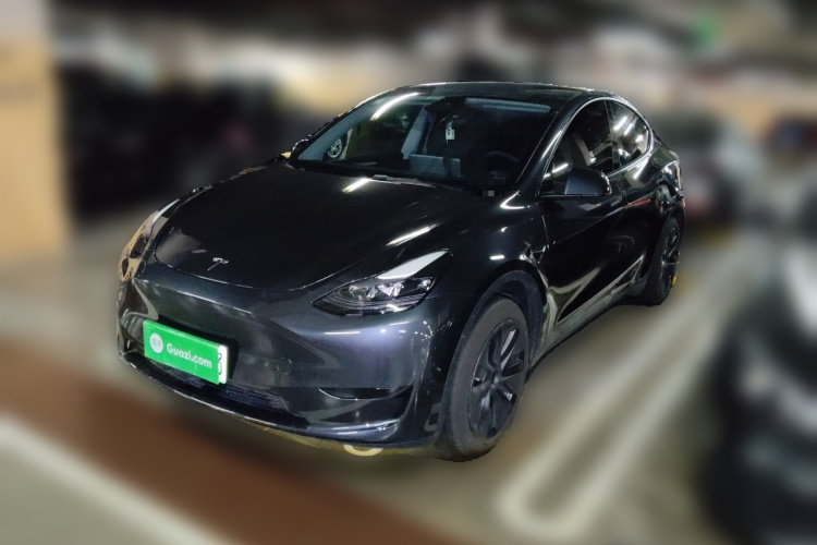 Tesla Model Y 2024 immagine di auto #2