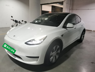 Tesla Model Y 2022 car image 