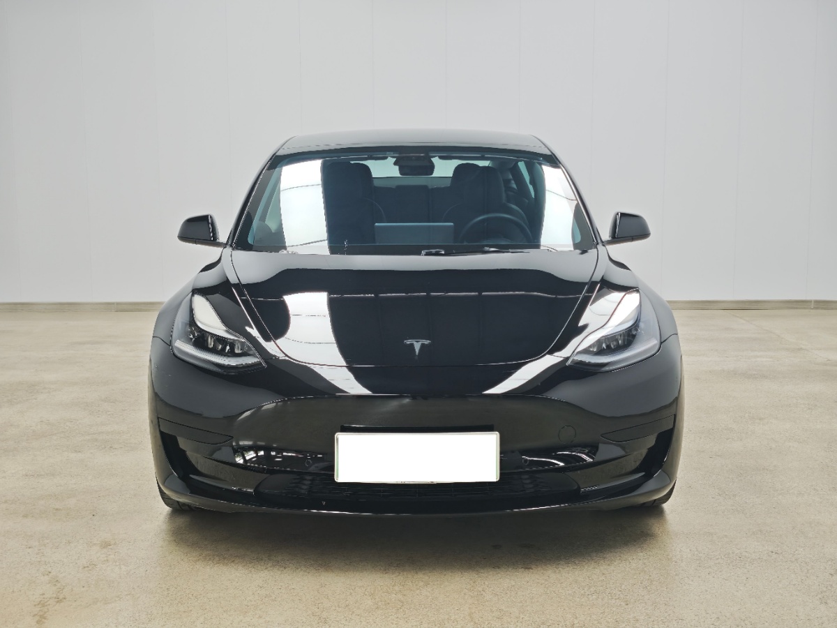 Tesla Model 3 2021 #2 Tesla Model 3 2021 car image #2