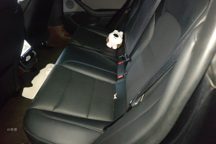 Tesla Model 3 2024 car image #19