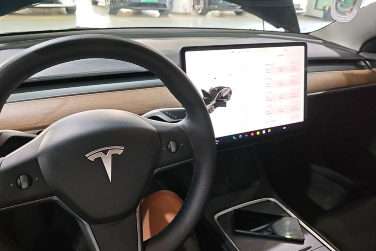 Tesla Model 3 2021 #11 Tesla Model 3 2021 car image #11