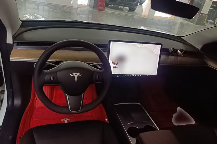 Tesla Model 3 2021 immagine di auto #10